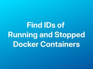 How to Find IDs of All Running and Stopped Docker Containers