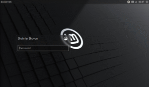 How to Enable Auto Login on Linux Mint